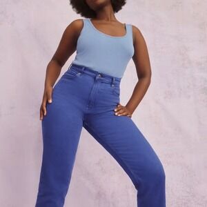 Everlane The Way-High Jean Blue Organic‎ Cotton Straight Leg 28T NWT